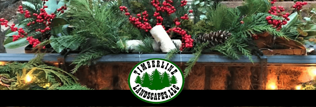 Happy Holidays – December, 2019